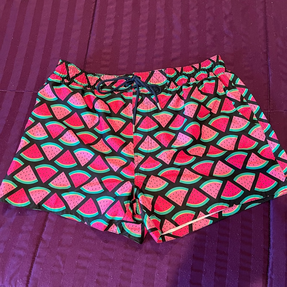 NWOT 2xist Watermelon Swim Shorts (Large)
